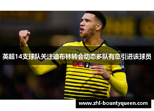 英超14支球队关注迪布林转会动态多队有意引进该球员